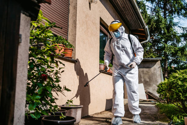 Bird Control in Woodmoor, CO