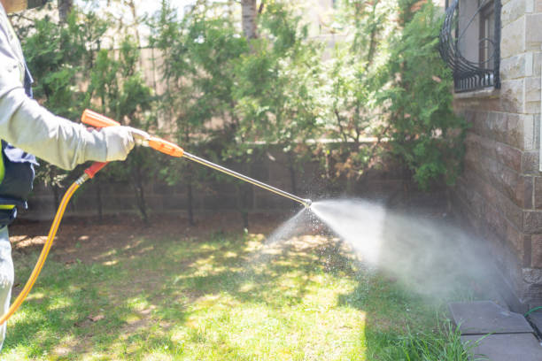 Professional Pest Control in Woodmoor, CO