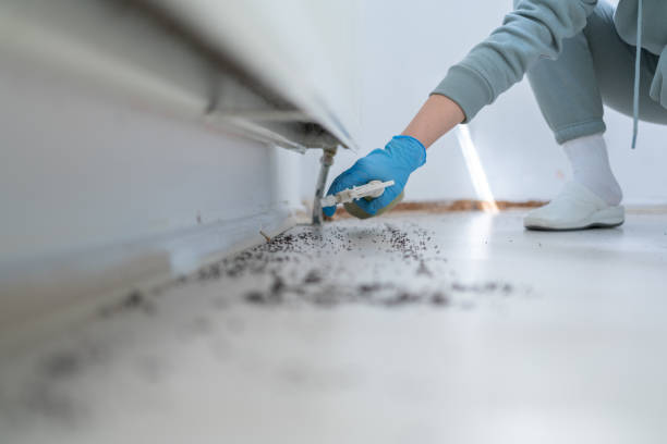 Pest Control Cost in Woodmoor, CO