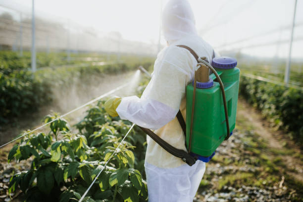 Flea Control Services in Woodmoor, CO